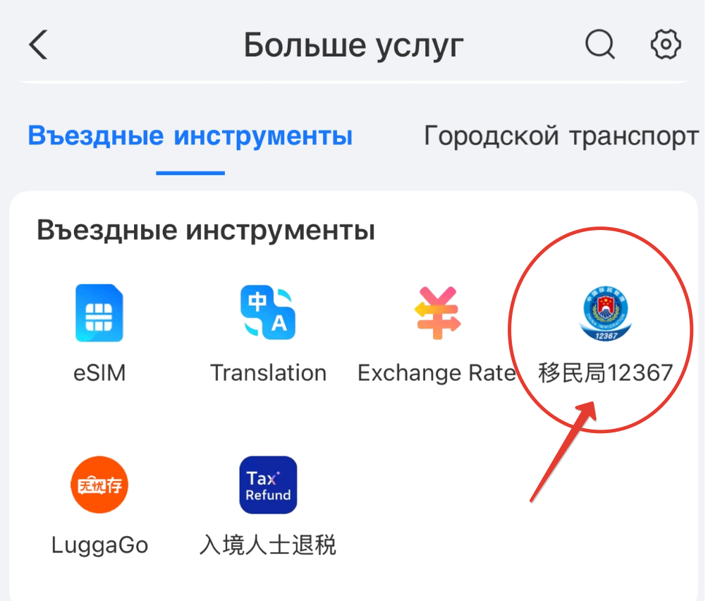 Приложение миграционной службы выглядит так - скрин из Alipay