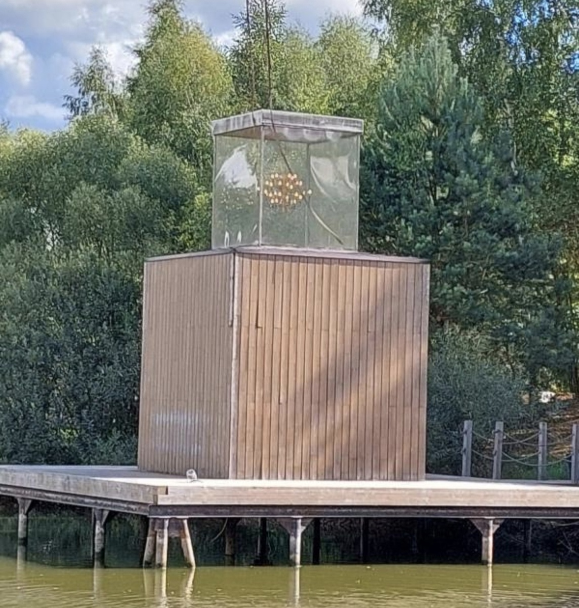 Фото из интернета