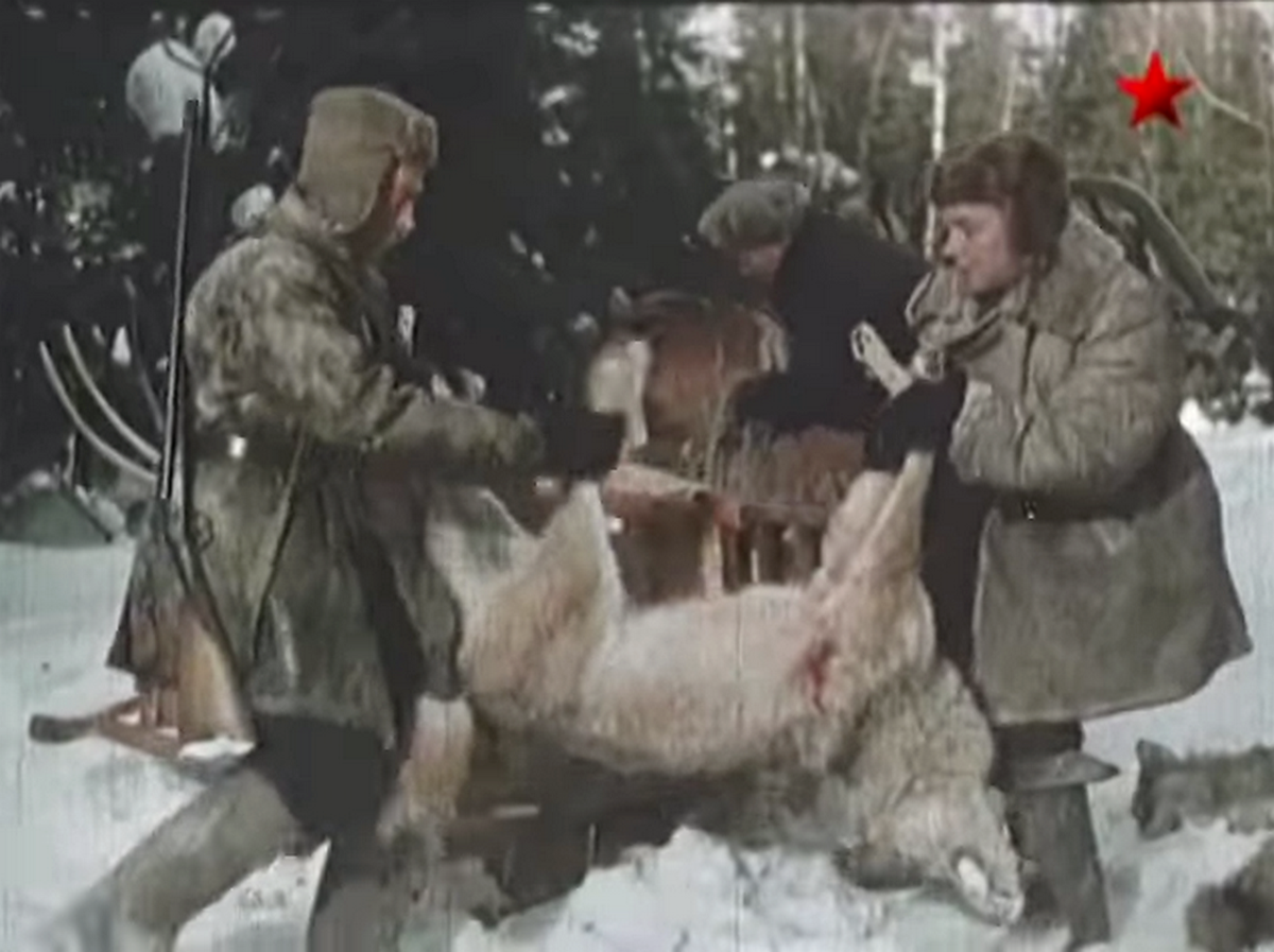 В хорошем качестве не нашла.