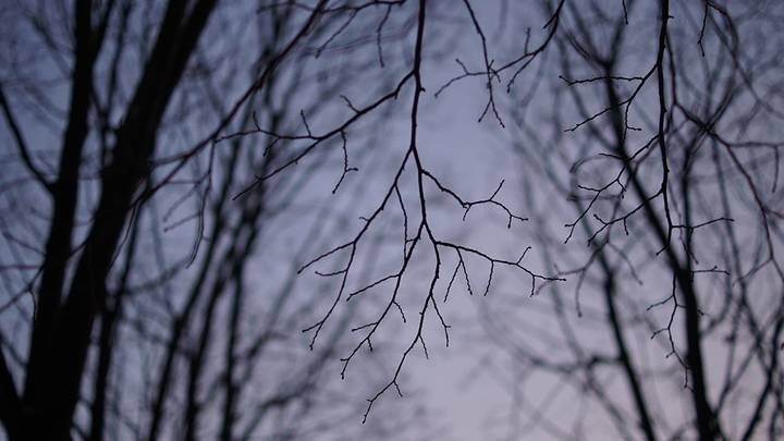 «Это было бесполезно»: друг Усольцевых выдвинул новую версию пропажи семьи