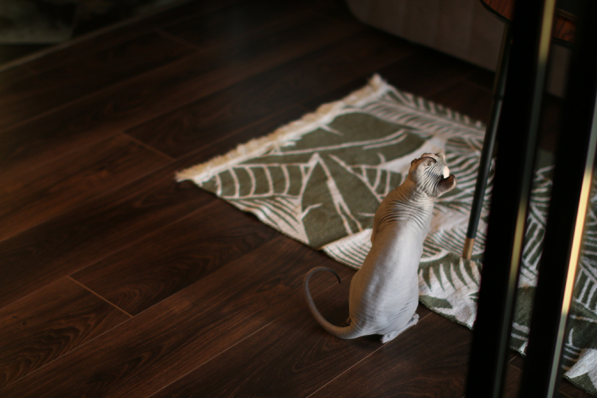 Складочки играющей с шариком Эль