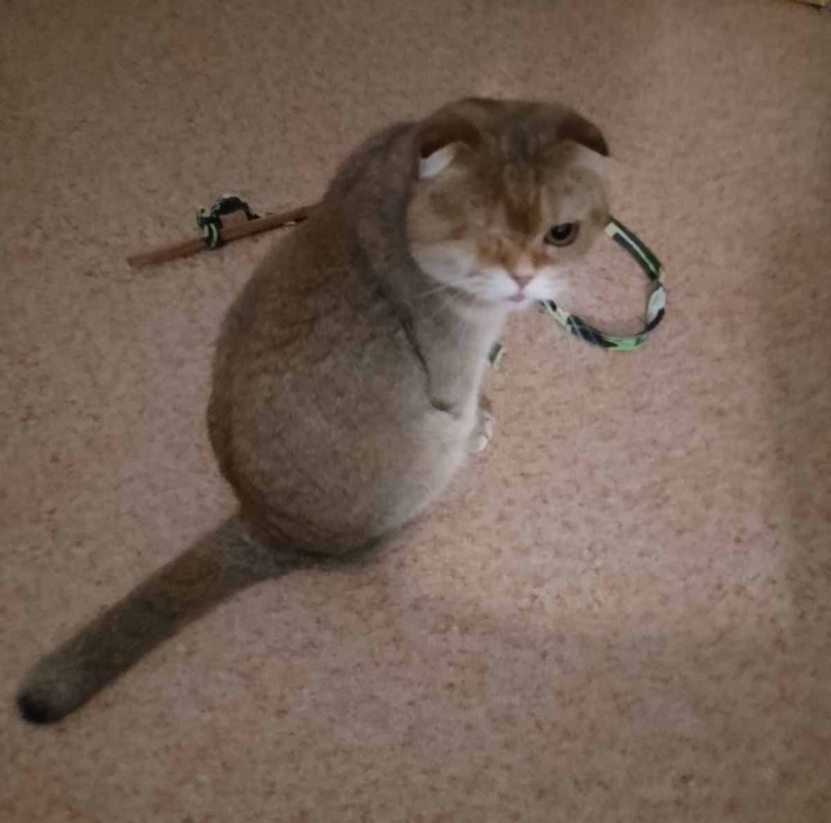 Долго ещё смеяться будешь?! 