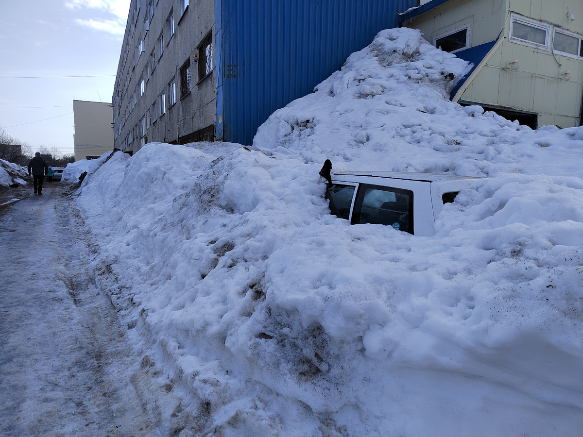 "Подснежник"/ Камчатка / март