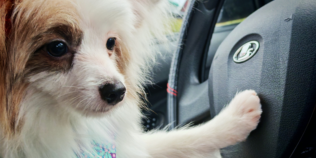 Дорогой звонок. В Татарстане камеры фиксируют использование телефона за рулем