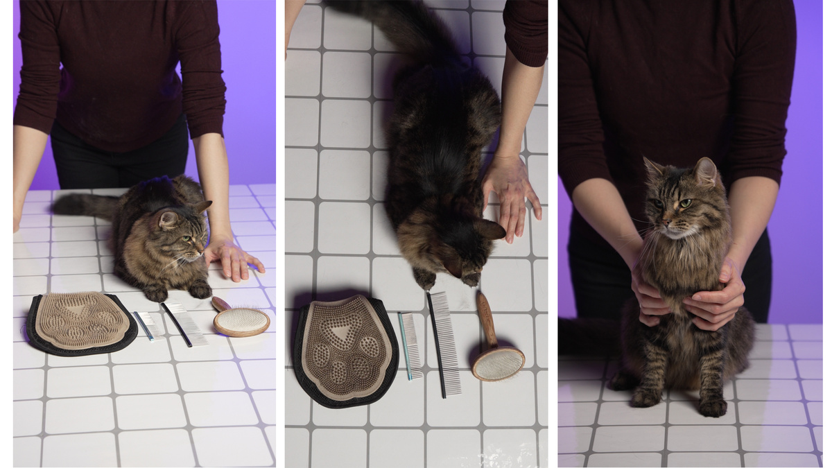 Познакомьтесь с нашей моделью!