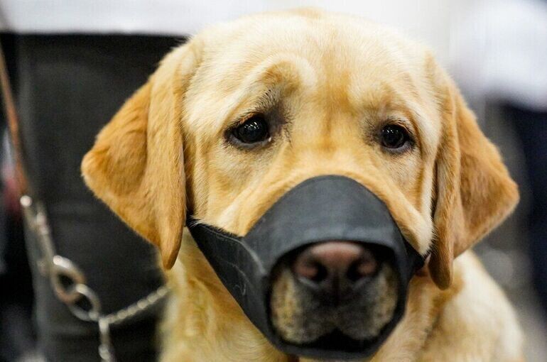   Пелагия Тихонова / АГН Москва