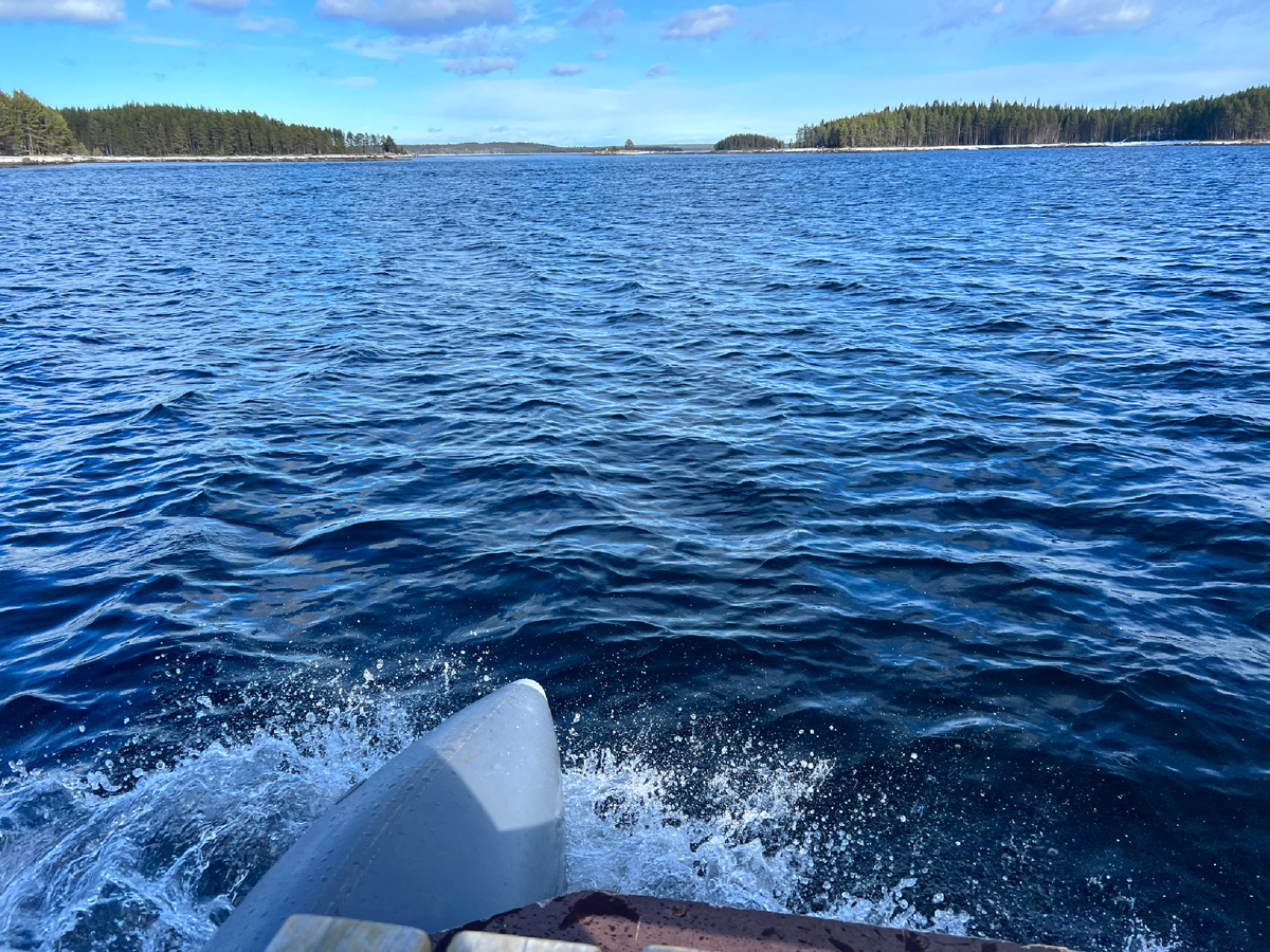 Все фото: канал Зоркий 