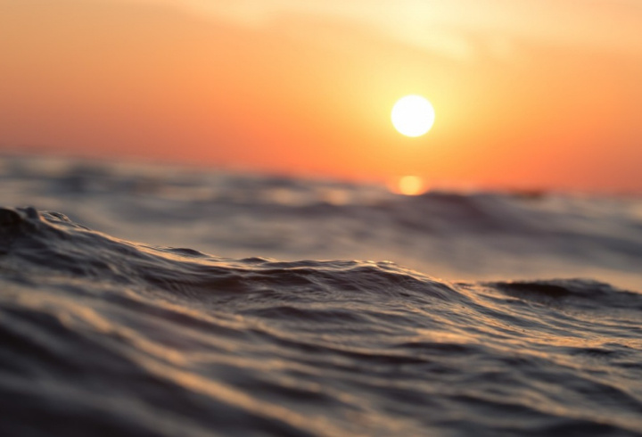 фото: pxhere.com