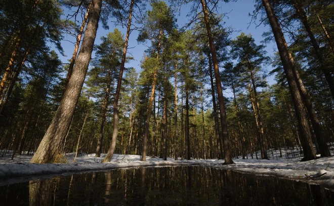    © https://max.ru/drozdenko_au_lo