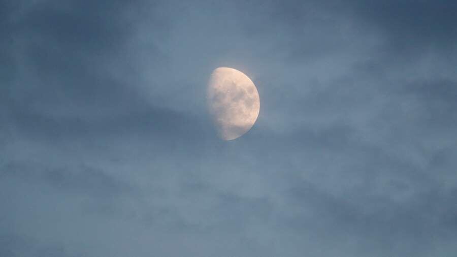 Лунный посевной календарь на апрель 2026 года: когда сажать, поливать и удобрять