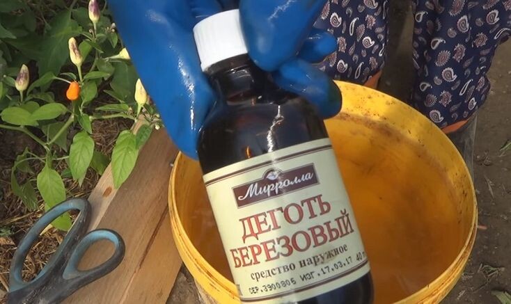 Березовый деготь