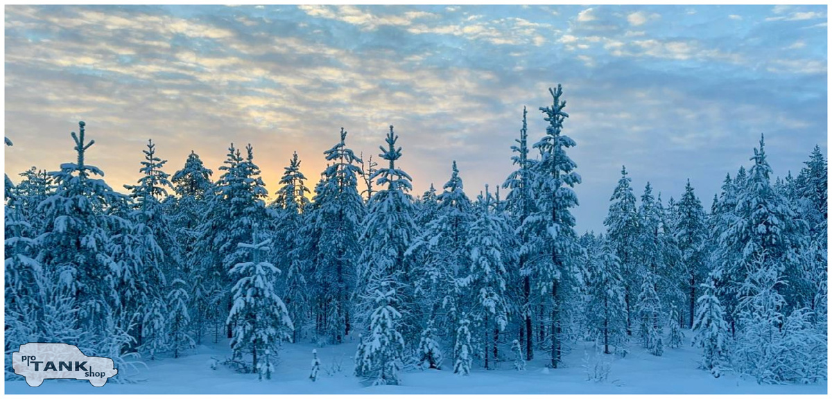 Природа Русского Севера