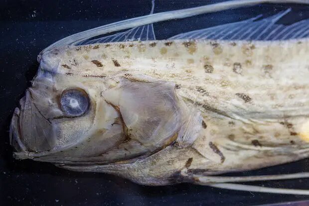    Источник: lenta.ru/ Евгений Иванов