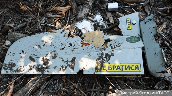     Фото: Дмитрий Ягодкин/ТАСС   
 Текст: Андрей Резчиков