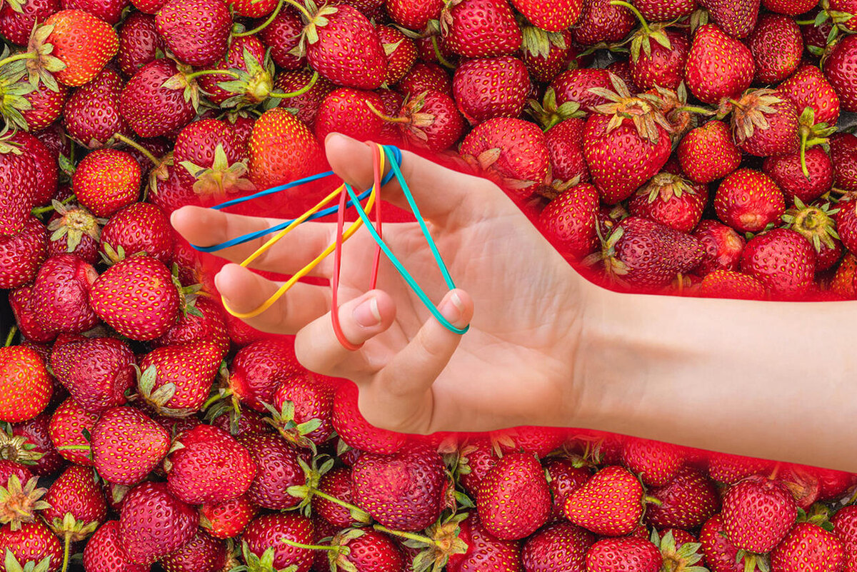    Клубника 123RF/legion-media.ru. Коллаж: 7Дней.ru