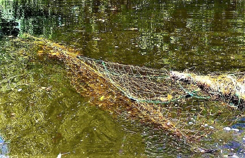 2. Сеть в воде