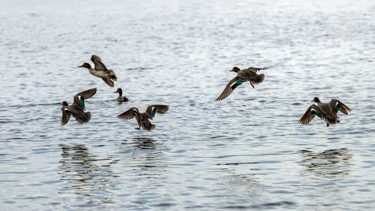    Фото: Федор Воронов / «Ямал-Медиа»