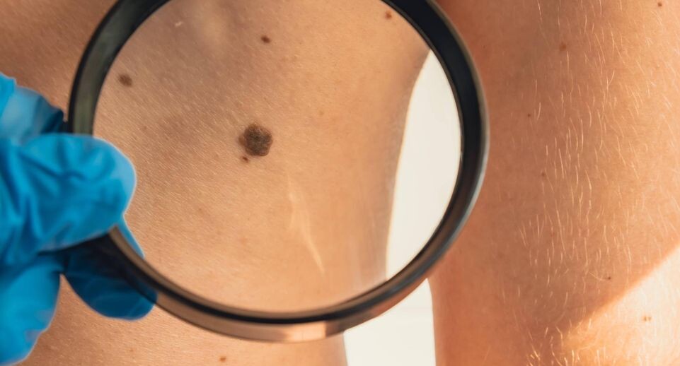    IMAGO/Zoonar.com/Anastasiia Yani / www.globallookpress.com