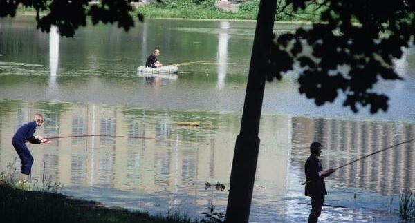    РИА «Новости»