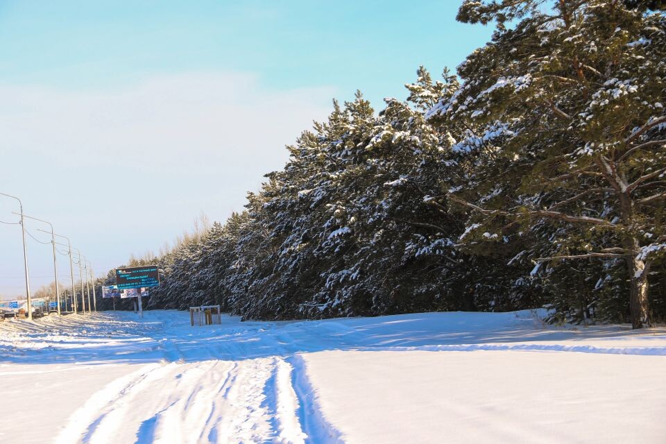    Снег. Окрестности мост через р. Лосиха. Источник: Виталий Барабаш/"Толк"