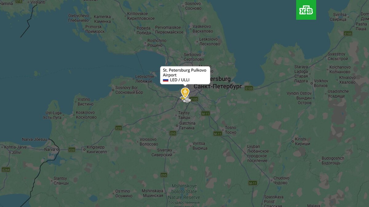    flightradar24.com