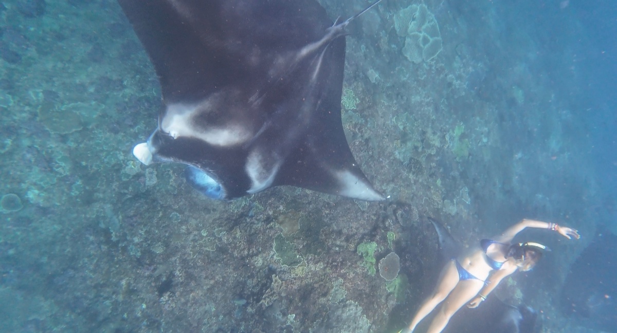 Фото предоставил Тами