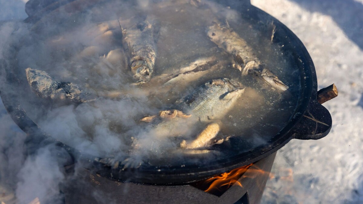    Фото: Федор Воронов / «Ямал-Медиа»