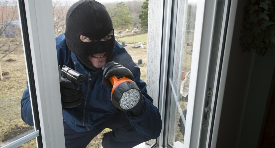    Nikolay Gyngazov/Global Look Press / www.globallookpress.com