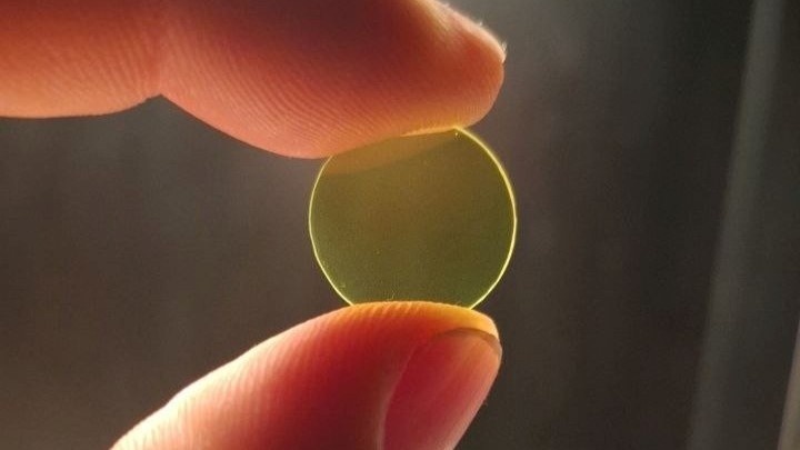 Образец керамического люминофора перед исследованием на синхротроне. Фото: Пресс-служба ДВФУ
