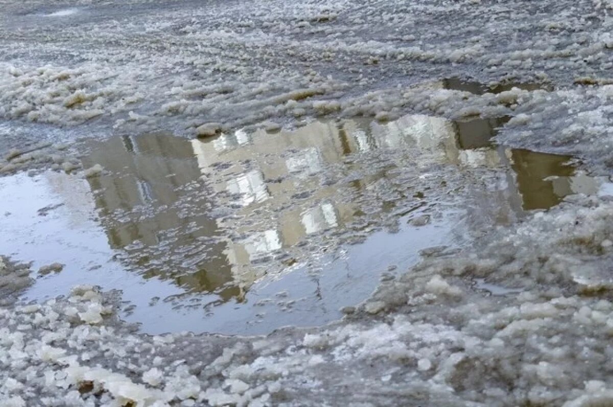    В конце марта в Алтайском крае ожидается резкое потепление до +14