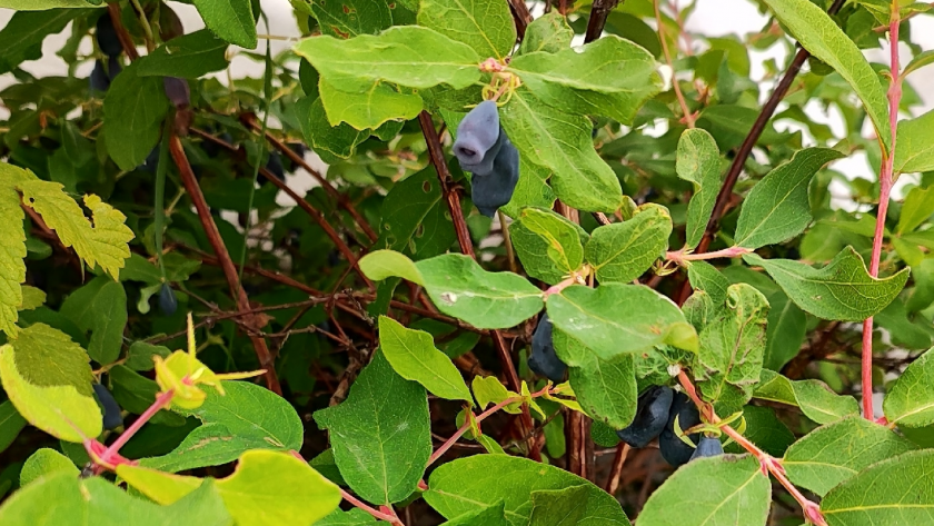    Фото из архива редакции