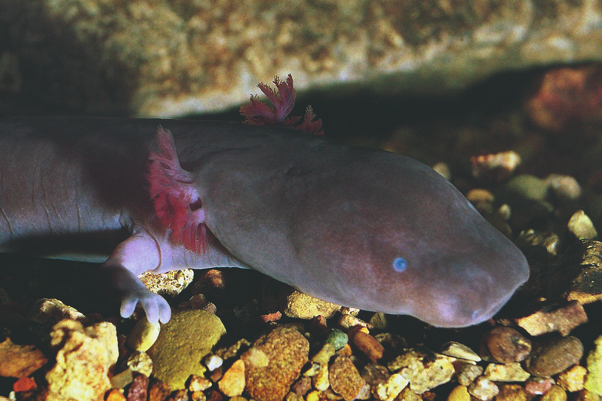 �������, ���������� � ��������� ��������� ������ ������, ������� �� ������ ���������� ����� � ���� ����� ������� �����. ׸���� ������ ������� ������ �������, 30 ��� �����. ������� � ��������� ���������� ��������.