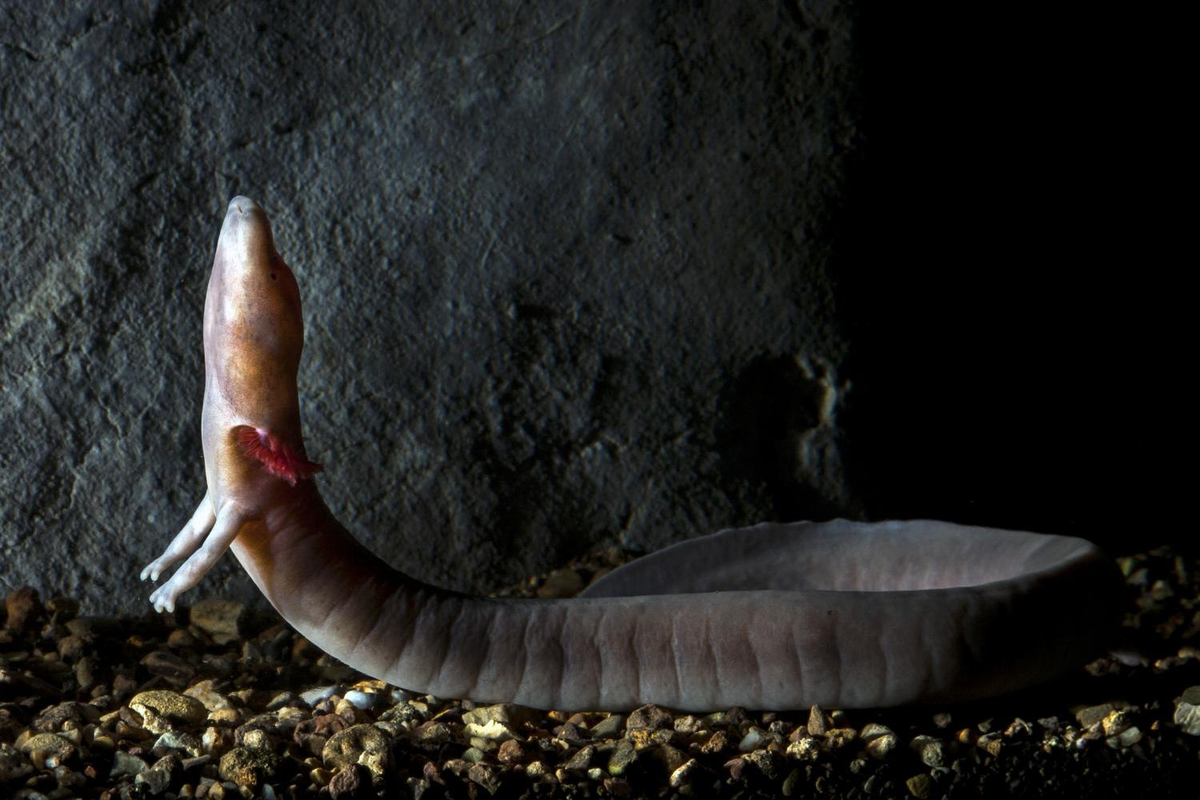 ��������, ���-�� �� ���� ������...