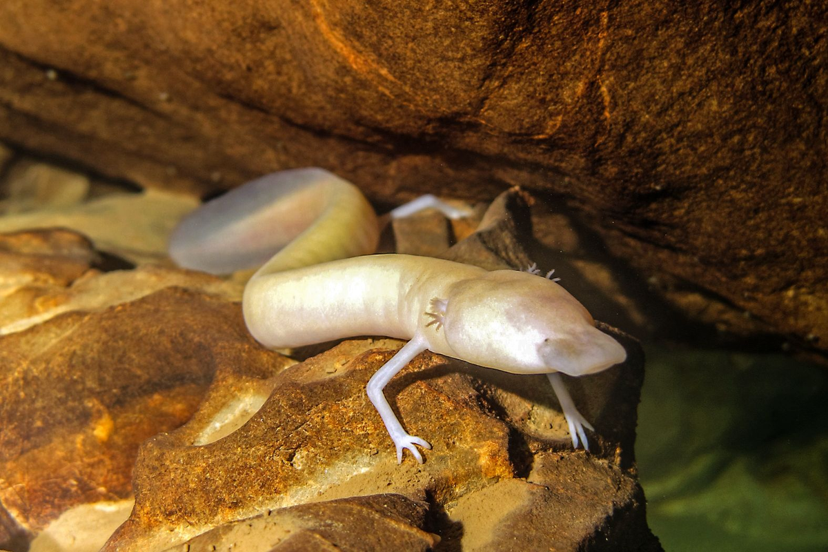 �������� �������� �� ���������� ������� ������. ��� �� �������, ��� �� ��������? ��� ���, �� ������ ����� �� ������ ����� 2 ����� ��������!