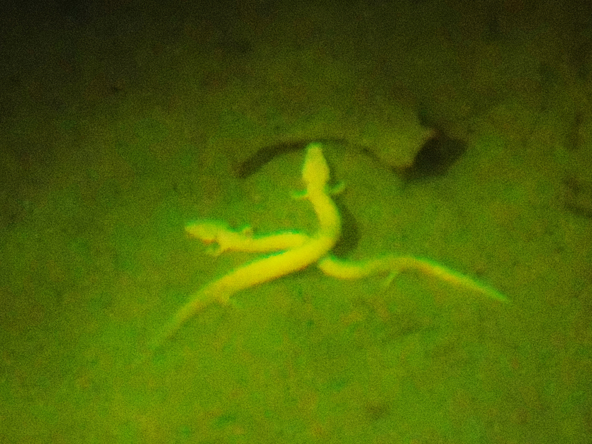 �������� ������ �������������� ����������. �������� �������, ������ ���������! 