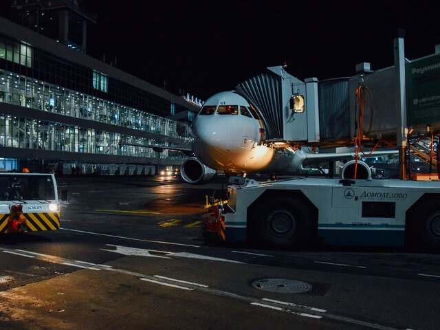    Фото: Москва 24/Никита Симонов