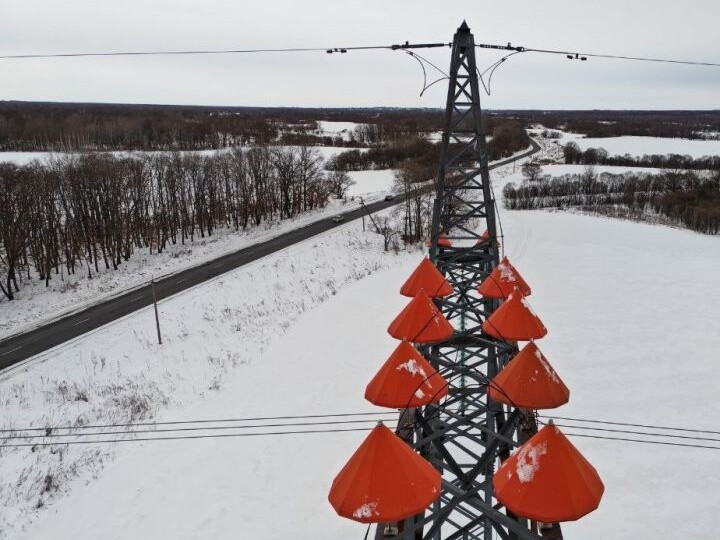 В Хабаровском крае монтируют птицезащитные устройства на на линиях электропередачи