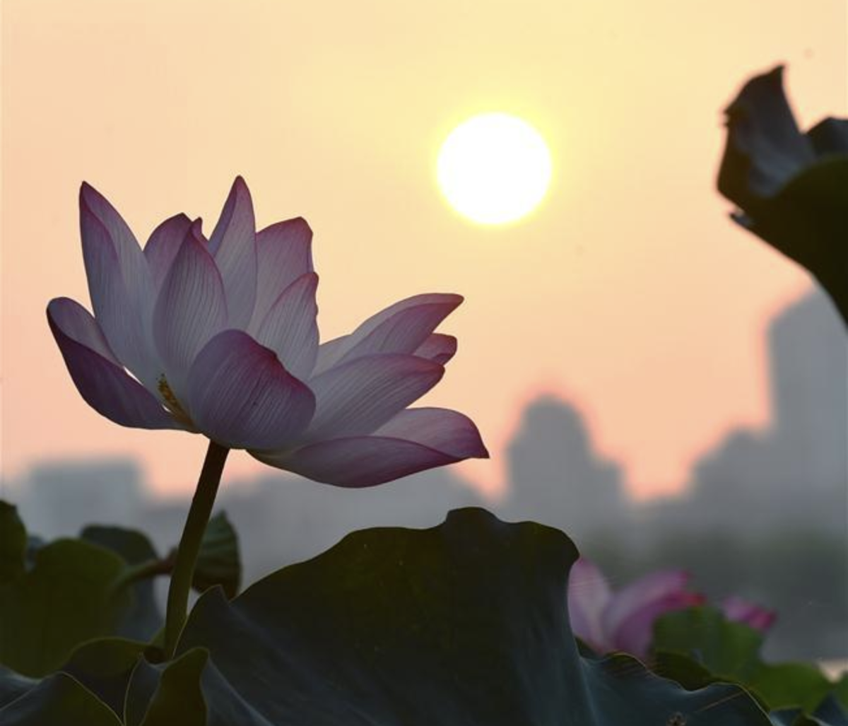 раннее утро