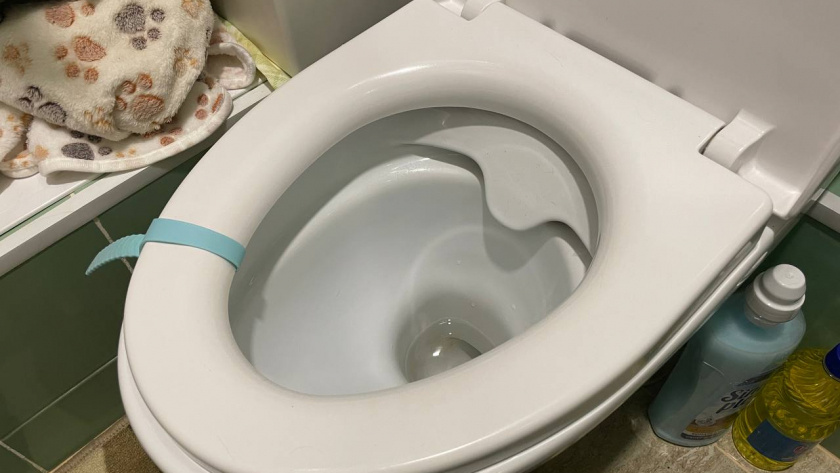    Автор фото - Анна Ефимова