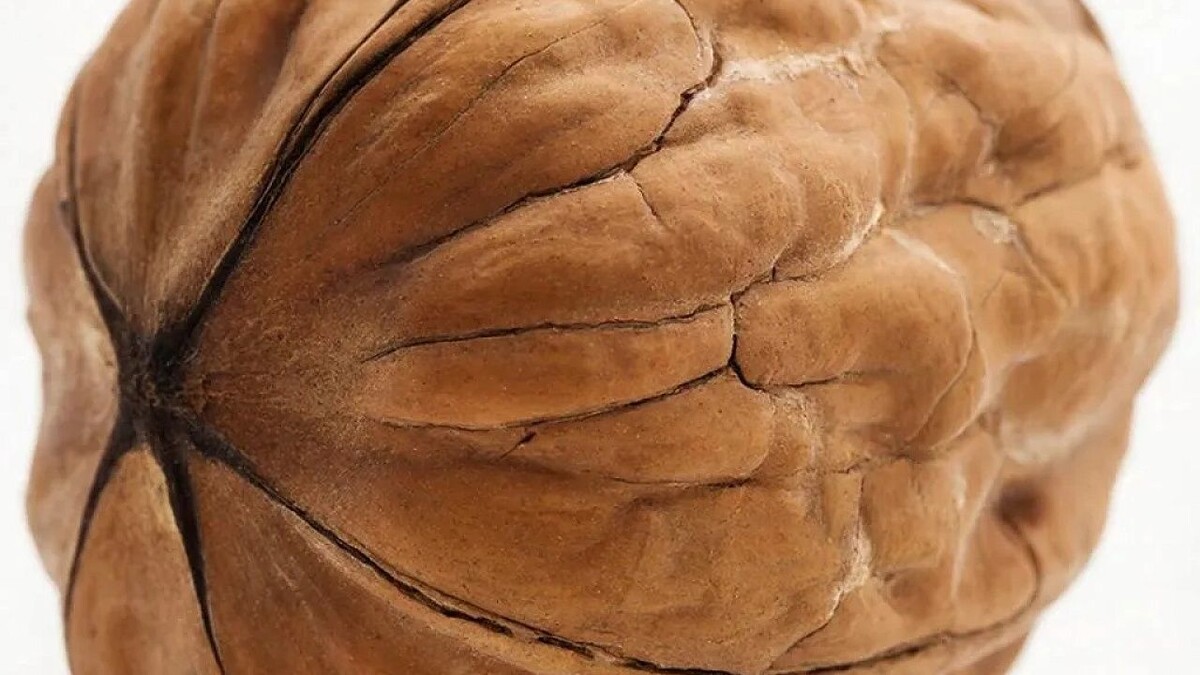    Изображение создано с помощью ИИ