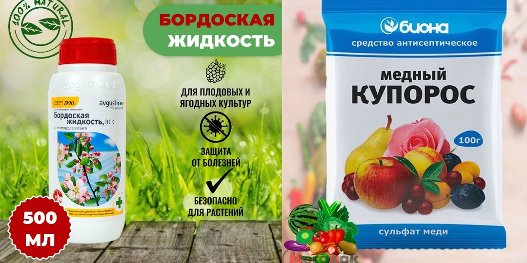 Медный купорос и бордосская жидкость: когда и как применять — простое руководство для садовода. Хватит губить ваш сад!