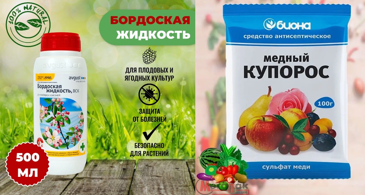 медный купорос и бордосская жидкость - в чем разница, как применять правильно