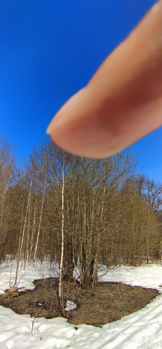 Личное фото