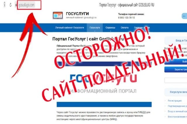 фото из открытого источника