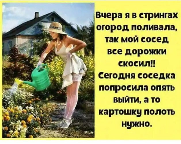 Анекдоты про огород и соседей
