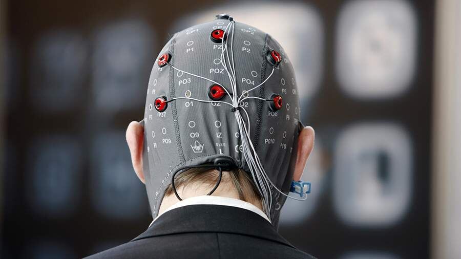    Фото: Global Look Press/Jochen Tack/imageBROKER.com