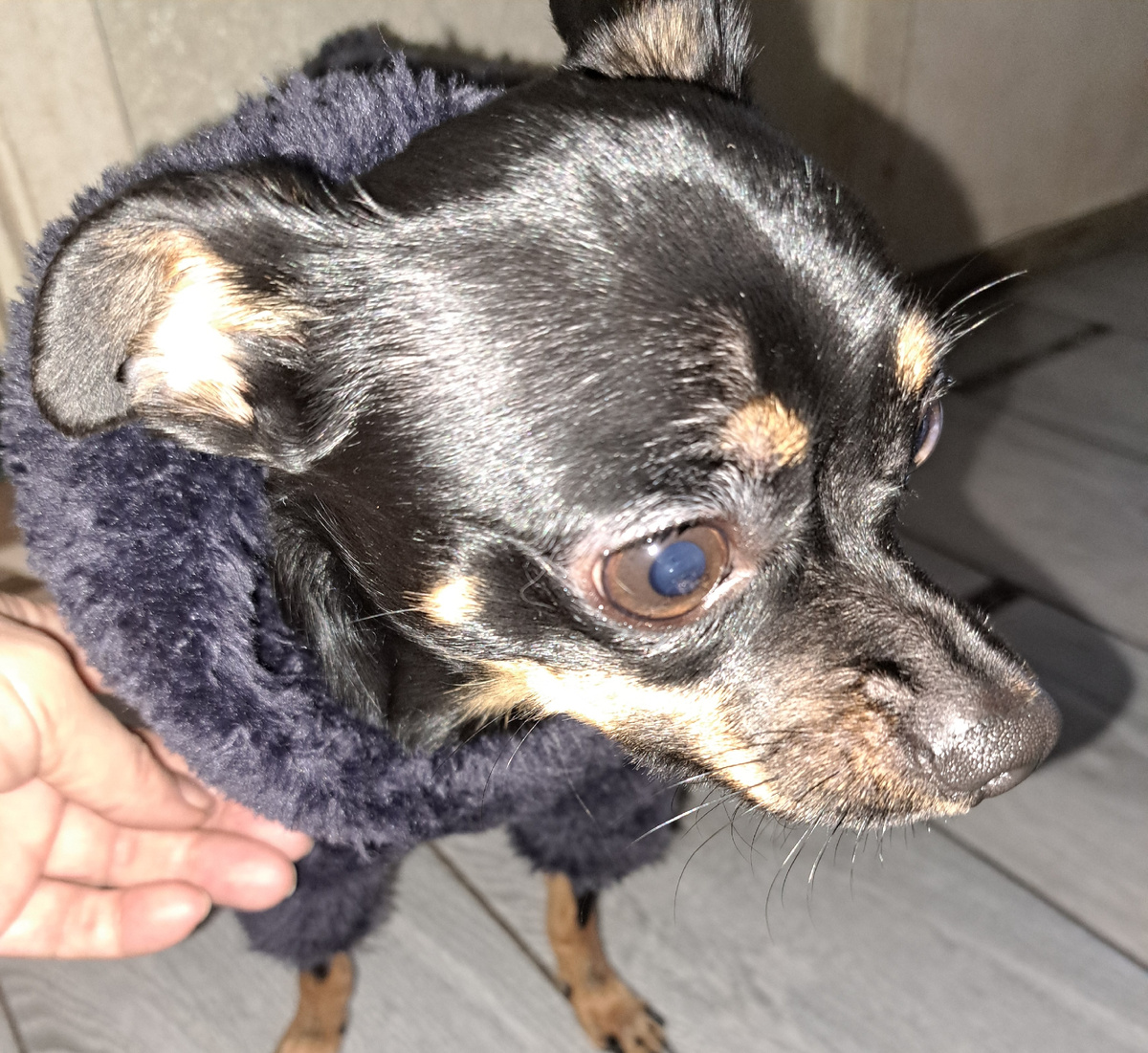 фото из личного архива