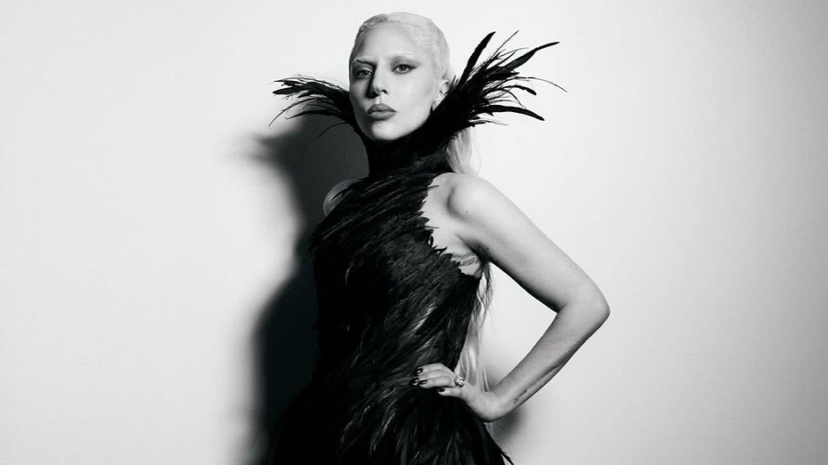     Источник здесь: соцсети Леди Гаги