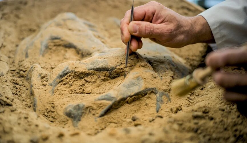 Фото: Shutterstock/FOTODOM/ Frame Stock Footage