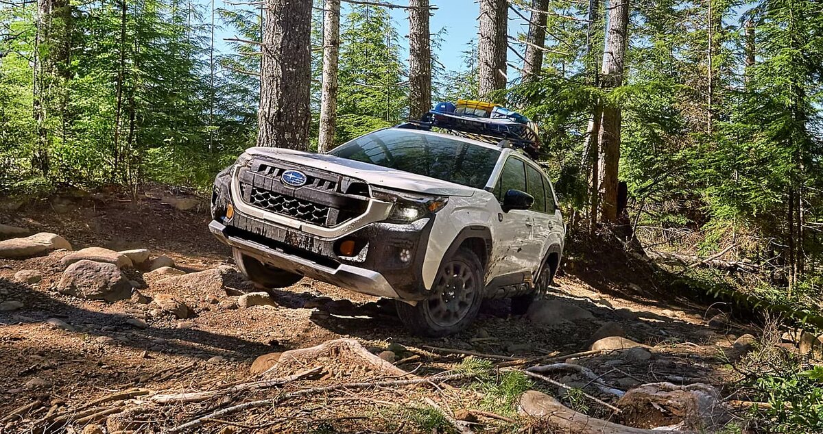     Subaru Forester Wilderness